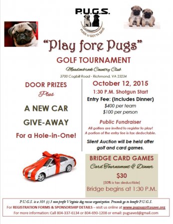 Play Fore Pugs 2015 Charity Golf Tournament as an Individual - Click Image to Close